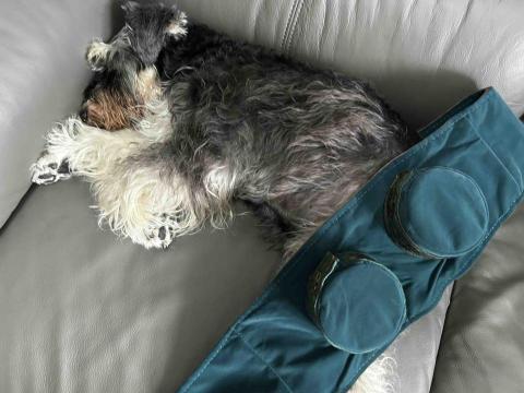 Cherry Choy - 老人家做艾灸對腳仔好