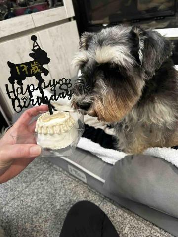 Cherry Choy - 17歲的小寶貝?