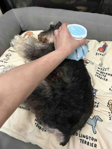 Cherry Choy - 熱敷後做按摩