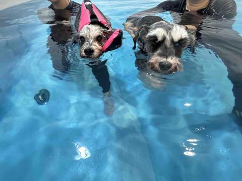 Cherry Choy - Keep住游水對身體好