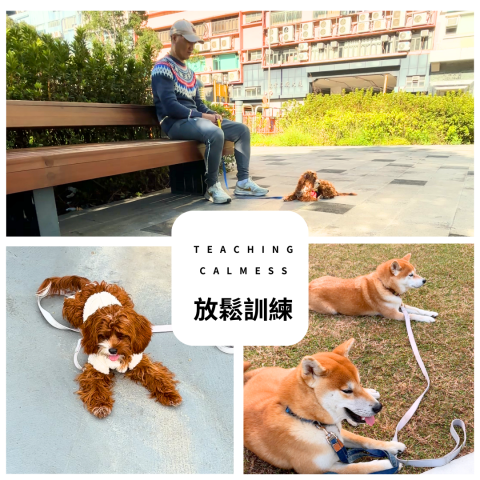 dannis lee -  dannis lee -