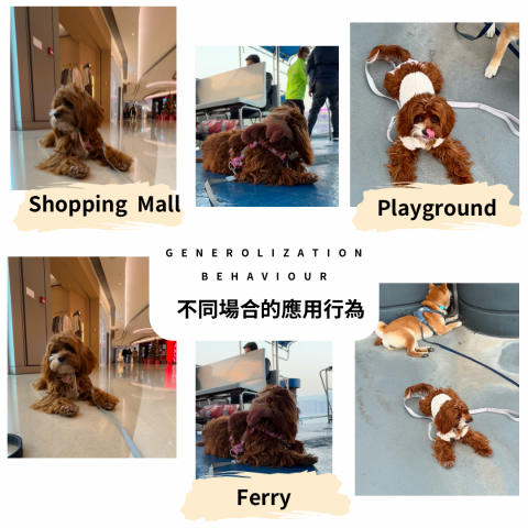 dannis lee -  dannis lee -