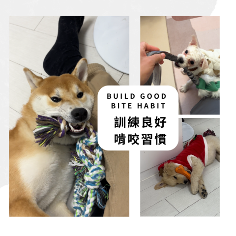 dannis lee -  dannis lee -