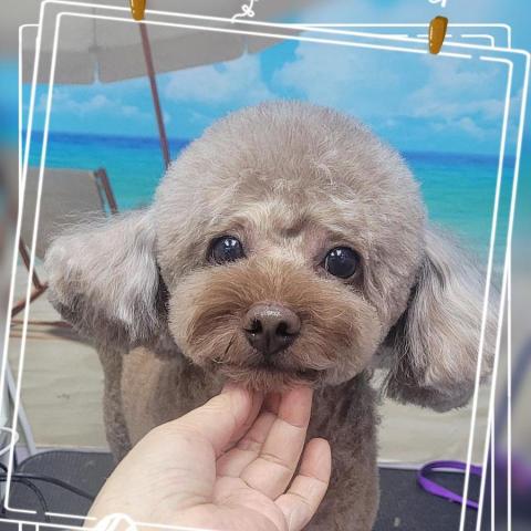 may may小魔女 - 貝貝