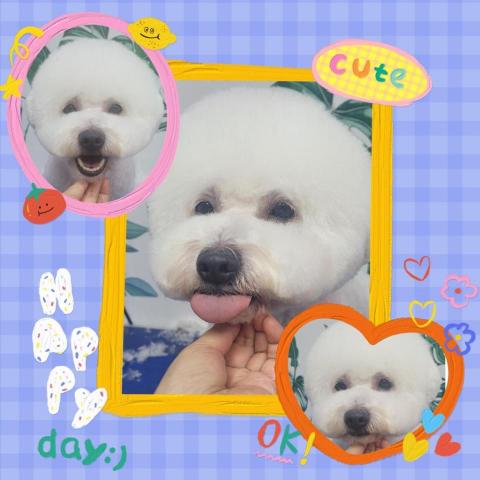 may may小魔女 - 寶寶