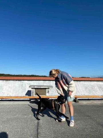 香港九龍照顧達人PetPet Sitter🤘 - 