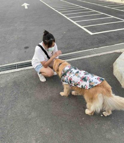 香港九龍照顧達人PetPet Sitter🤘 - 