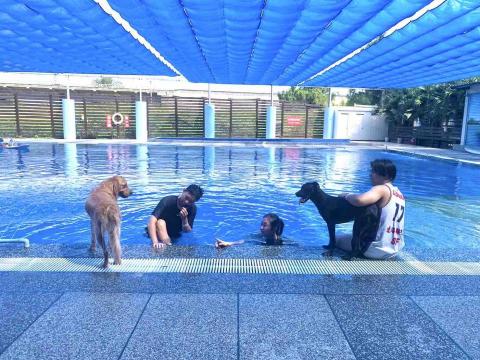 香港九龍照顧達人PetPet Sitter🤘 - 