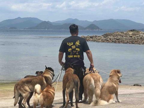 (Dog-Trainer Pau.Sir) - 1人拖六隻   (Dog-Trainer Pau.Sir) - 1人拖六隻