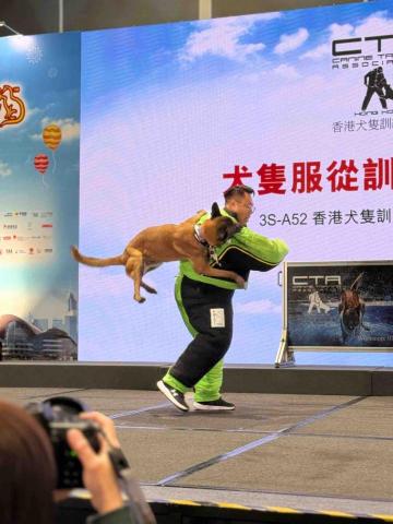 (Dog-Trainer Pau.Sir) -   (Dog-Trainer Pau.Sir) -