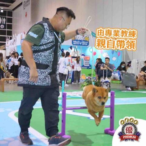 (Dog-Trainer Pau.Sir) -   (Dog-Trainer Pau.Sir) -