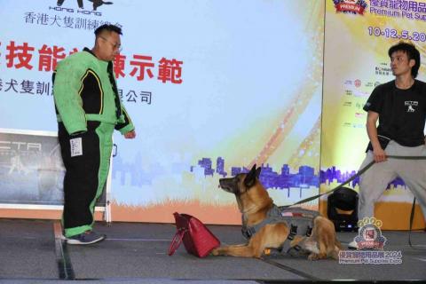 (Dog-Trainer Pau.Sir) -   (Dog-Trainer Pau.Sir) -