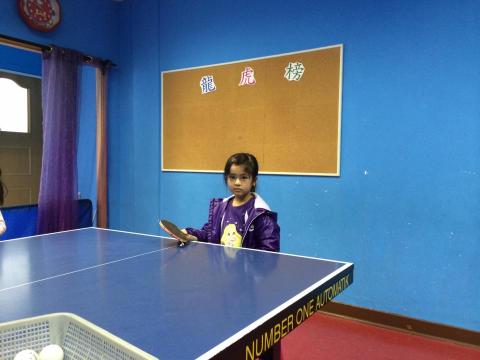 Tsz BeeTable Tennis -  Tsz BeeTable Tennis -