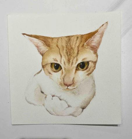 chunn - 手繪-動物水彩