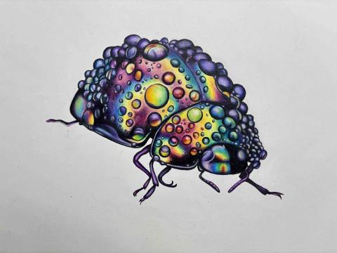 Leung Hoi Nam -  木顏色作品