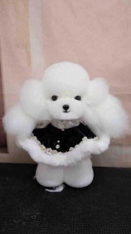 threemomo -  threemomo -