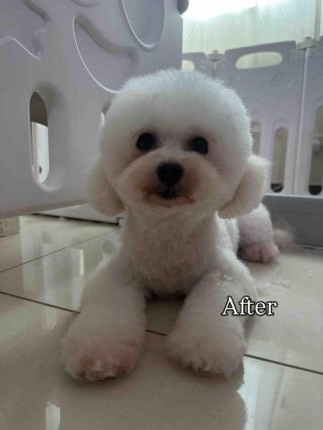 threemomo - *預約需知:
不少於一天前預約 ❌不接即日預約
確認扮靚日期後 需落半訂確定預約(因為驚✈️) threemomo - *預約需知:
不少於一天前預約 ❌不接即日預約
確認扮靚日期後 需落半訂確定預約(因為驚✈️)