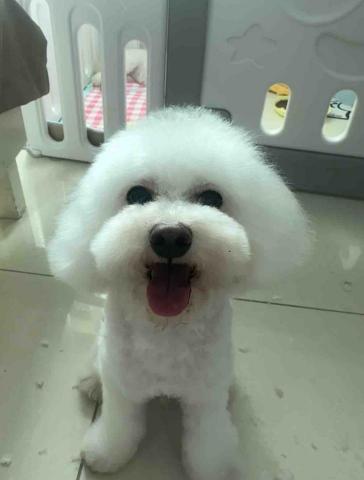 threemomo - *預約需知:
不少於一天前預約 ❌不接即日預約
確認扮靚日期後 需落半訂確定預約(因為驚✈️) threemomo - *預約需知:
不少於一天前預約 ❌不接即日預約
確認扮靚日期後 需落半訂確定預約(因為驚✈️)