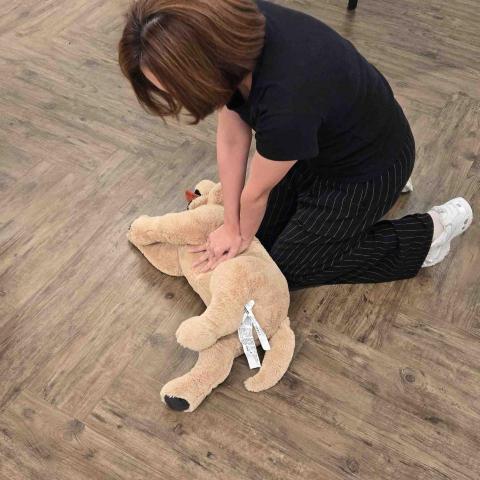 FelineMeow HK - 學習寵物急救 FelineMeow HK - 學習寵物急救