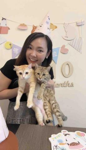 FelineMeow HK -  FelineMeow HK -