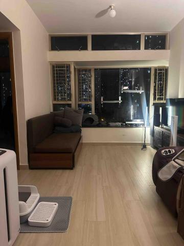 Alex Au 寵物照顧服務 - 日托/寄養環境