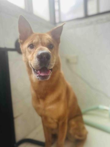 threemomo -  threemomo -