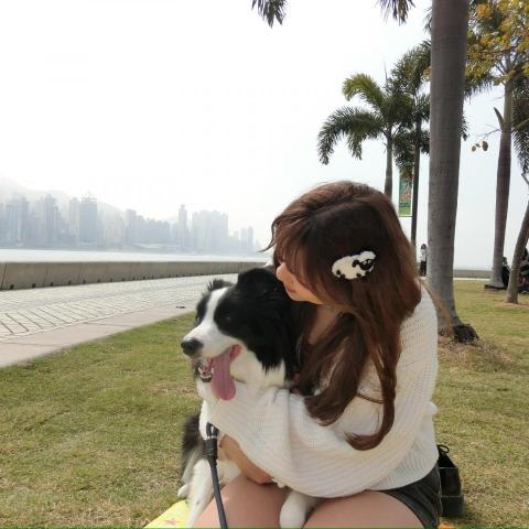 提供小型工程承建商公司申請服務的專家Mavis Chan