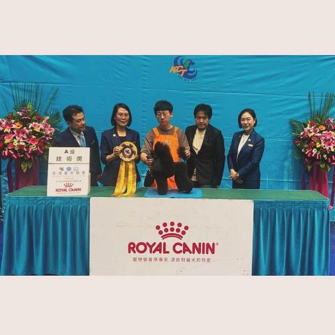 ChrisLo全港貓狗上門寵物美容 -  ChrisLo全港貓狗上門寵物美容 -