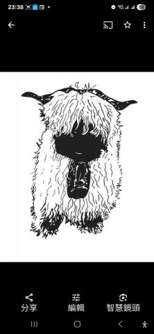 提供服務犬訓練服務的專家黑面羊動物傳心貓犬訓練