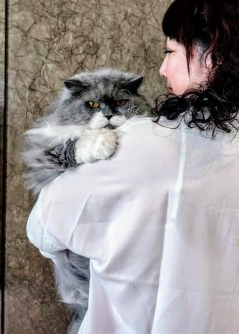 黑面羊動物傳心貓犬訓練 - 貓咪正向親人訓練 黑面羊動物傳心貓犬訓練 - 貓咪正向親人訓練