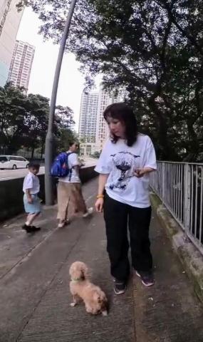 黑面羊動物傳心貓犬訓練 - 成犬服從訓練 黑面羊動物傳心貓犬訓練 - 成犬服從訓練