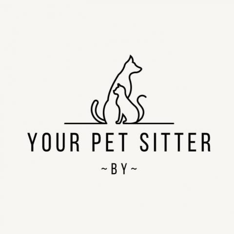 提供狗狗訓練師課程服務的專家Pet Sitter BY