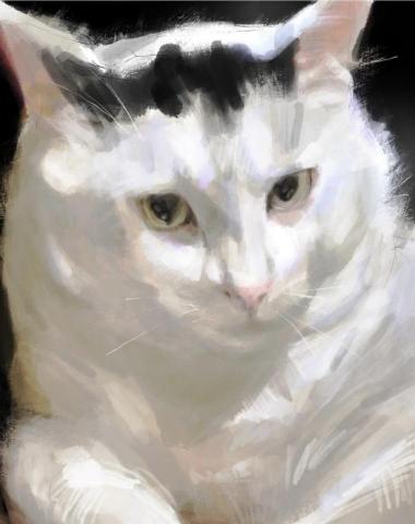 Sarah - 電腦繪圖