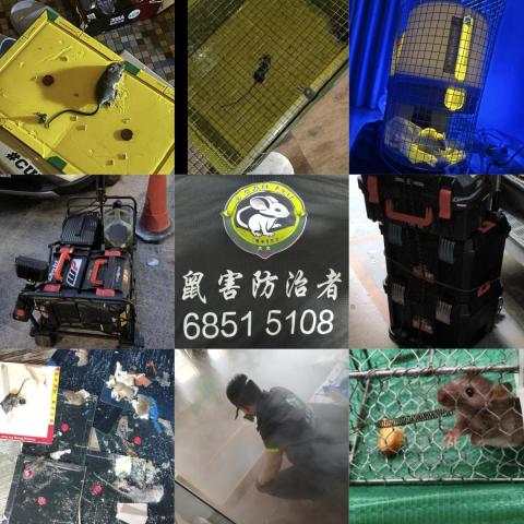 滅鼠 -  滅鼠 -
