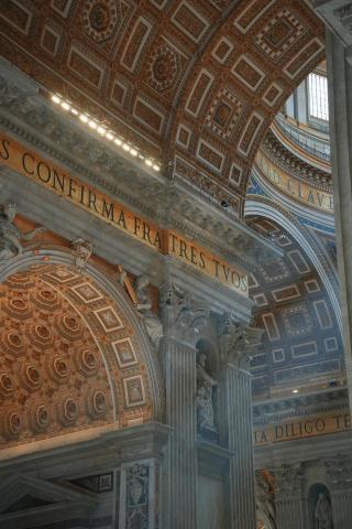 Savannah Tang - Photography 