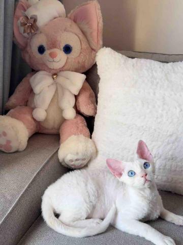 threemomo -  threemomo -