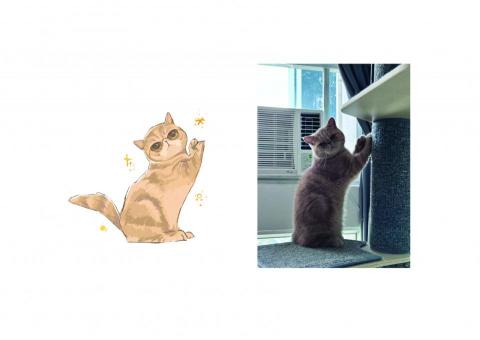 Ching Lam LO - 相片或有色差，請到https://drive.google.com/file/d/1YA7ew1pfHmrHrySl9rMMYfm4QnVzzMUH/view?usp=sharing
查看完整版。