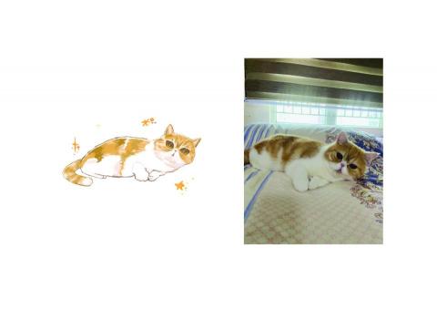 Ching Lam LO - 相片或有色差，請到https://drive.google.com/file/d/1YA7ew1pfHmrHrySl9rMMYfm4QnVzzMUH/view?usp=sharing
查看完整版。