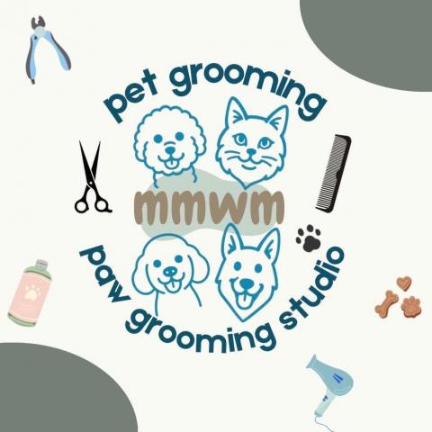 提供寵物美容c級課程費用服務的專家MMWM_pawgrooming_studio
