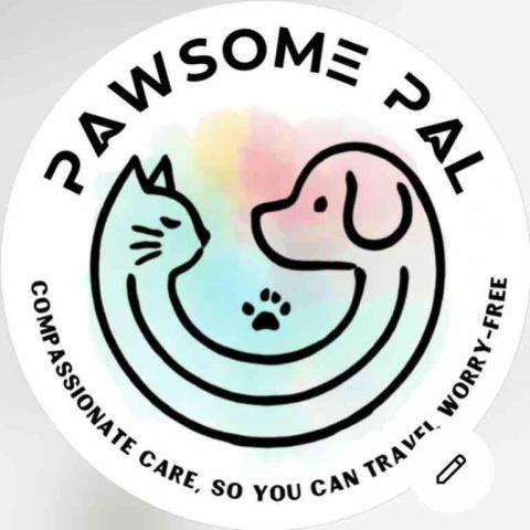 提供保安課程邊間好2023服務的專家pawsomepal hk petsitter