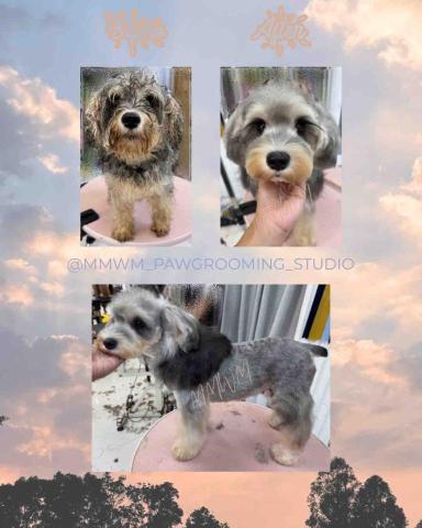 MMWM_pawgrooming_studio - 