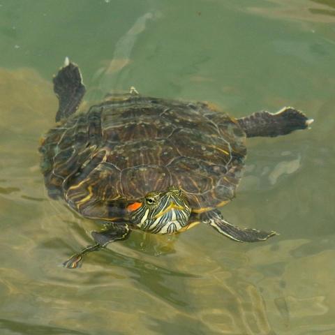 The pros providing h o o d d u c t i n s t a l l a t i o n哈哈希（D.D）