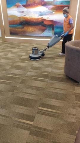 Green Tech Cleaning Specialist - 律師行洗地毯服務