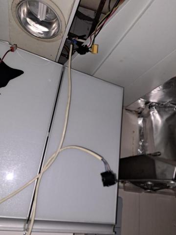 Tsz Yat Angus Ng -  Tsz Yat Angus Ng -