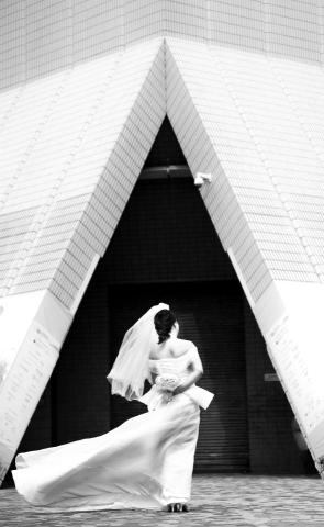 XIAOYU JIN - Wedding photos