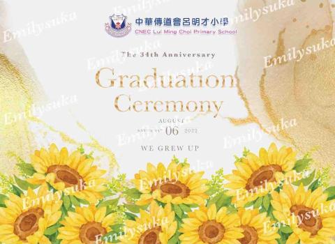 Suka Chan - backdrop設計