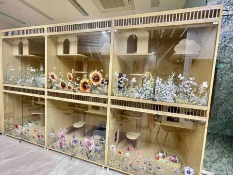 晨熹貓舍|貓酒店及上門保母服務 - 單貓房間 晨熹貓舍|貓酒店及上門保母服務 - 單貓房間