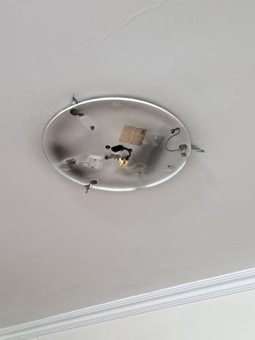 Tsz Yat Angus Ng -  Tsz Yat Angus Ng -