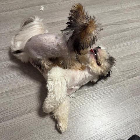 The pros providing washer repair near me within 20 miLwy Lwy