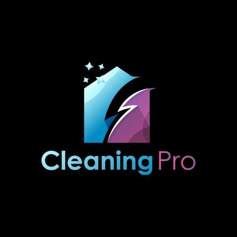 提供家居清潔消毒服務的專家Cleaning Pro